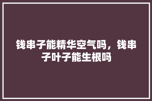 钱串子能精华空气吗，钱串子叶子能生根吗 冰箱