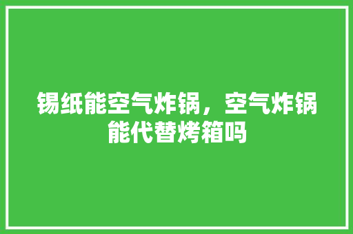 锡纸能空气炸锅，空气炸锅能代替烤箱吗 洁具维修