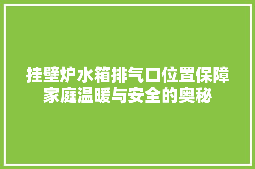 挂壁炉水箱排气口位置保障家庭温暖与安全的奥秘 家电维护