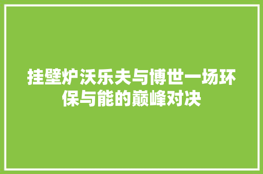 挂壁炉沃乐夫与博世一场环保与能的巅峰对决 空调