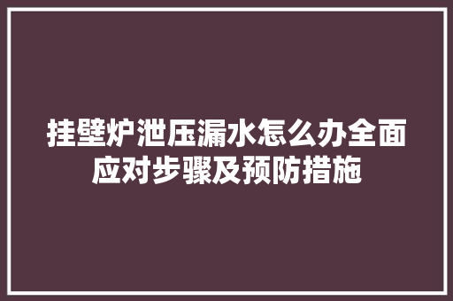 挂壁炉泄压漏水怎么办全面应对步骤及预防措施 龙头管件