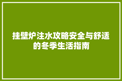 挂壁炉注水攻略安全与舒适的冬季生活指南 洗衣机