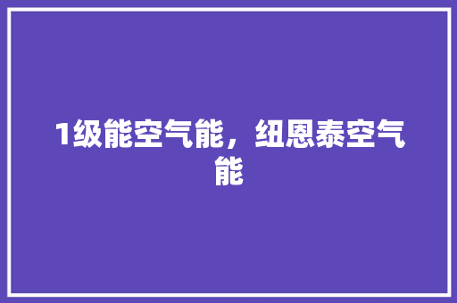 1级能空气能，纽恩泰空气能 装修设计