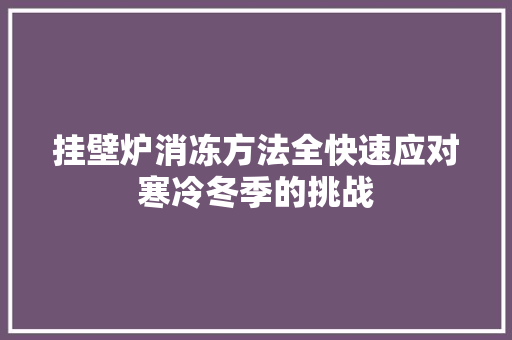 挂壁炉消冻方法全快速应对寒冷冬季的挑战 局部翻新