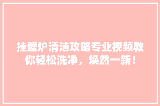 挂壁炉清洁攻略专业视频教你轻松洗净，焕然一新！ 洗衣机