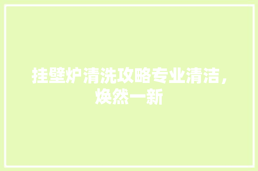 挂壁炉清洗攻略专业清洁，焕然一新 家具修理