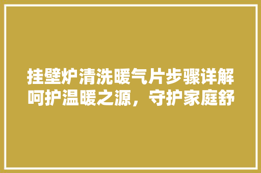 挂壁炉清洗暖气片步骤详解呵护温暖之源，守护家庭舒适生活 旧房改造