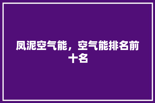 凤泥空气能，空气能排名前十名 家电维护