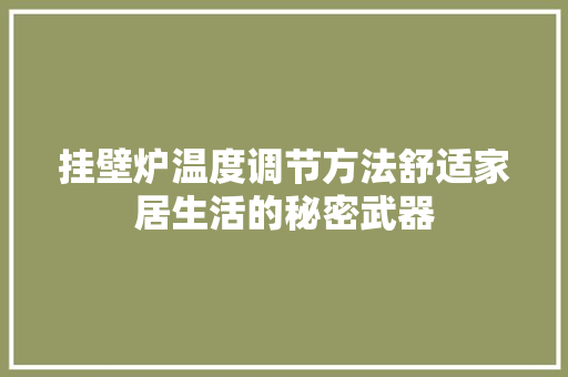 挂壁炉温度调节方法舒适家居生活的秘密武器 旧房改造