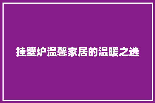 挂壁炉温馨家居的温暖之选 装修设计