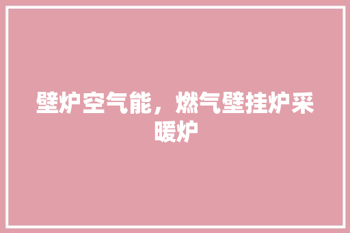壁炉空气能，燃气壁挂炉采暖炉 空调
