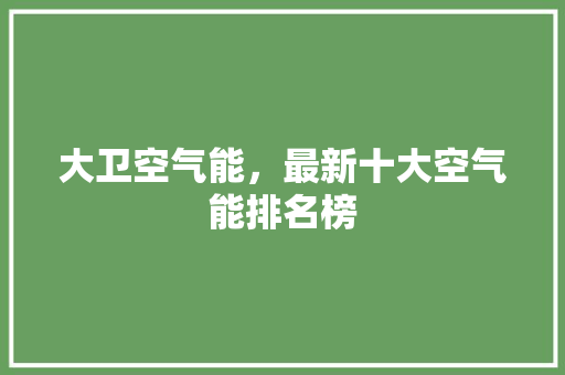 大卫空气能，最新十大空气能排名榜 洗衣机