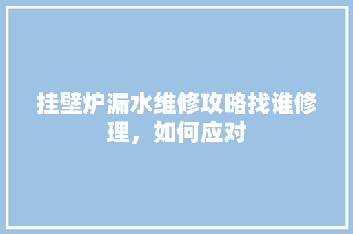 挂壁炉漏水维修攻略找谁修理，如何应对 装修设计