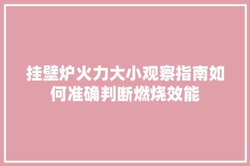 挂壁炉火力大小观察指南如何准确判断燃烧效能 冰箱