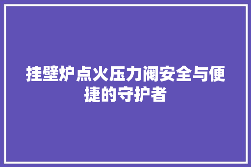 挂壁炉点火压力阀安全与便捷的守护者 洗衣机