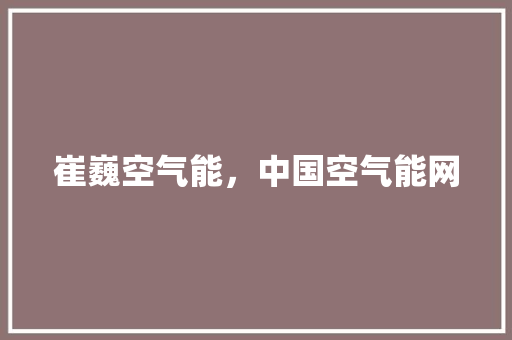 崔巍空气能，中国空气能网 热水器