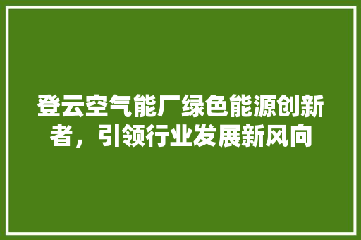 登云空气能厂绿色能源创新者，引领行业发展新风向 洁具维修