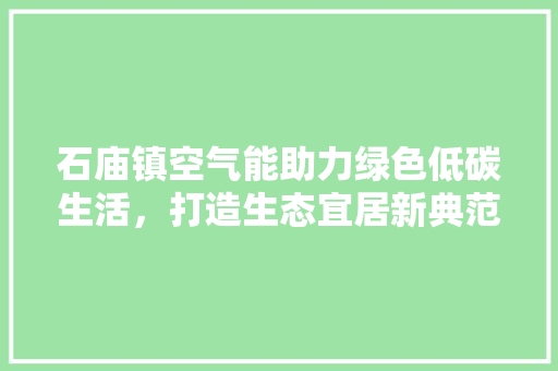 石庙镇空气能助力绿色低碳生活，打造生态宜居新典范 冰箱