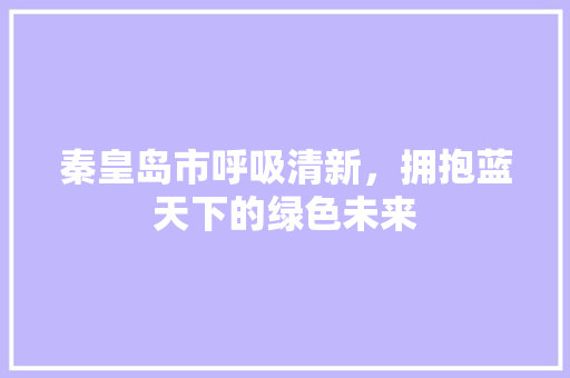秦皇岛市呼吸清新，拥抱蓝天下的绿色未来 贴膜