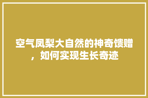 空气凤梨大自然的神奇馈赠，如何实现生长奇迹 家居维修