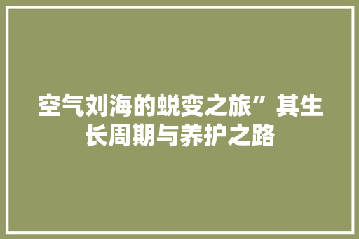 空气刘海的蜕变之旅”其生长周期与养护之路 局部翻新