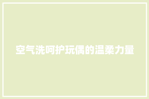 空气洗呵护玩偶的温柔力量 局部翻新