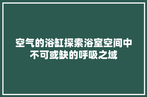 空气的浴缸探索浴室空间中不可或缺的呼吸之域 家电维护