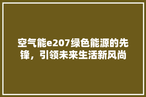 空气能e207绿色能源的先锋，引领未来生活新风尚 旧房改造