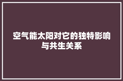 空气能太阳对它的独特影响与共生关系 家具修理