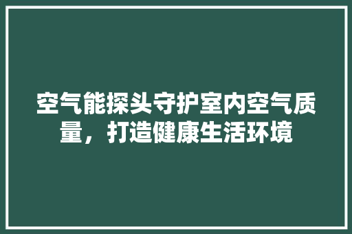 空气能探头守护室内空气质量，打造健康生活环境 家居维修