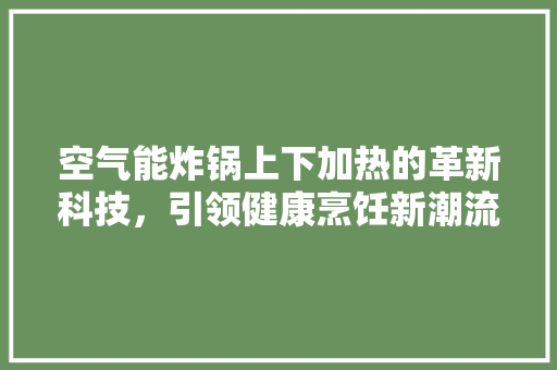 空气能炸锅上下加热的革新科技，引领健康烹饪新潮流 贴膜