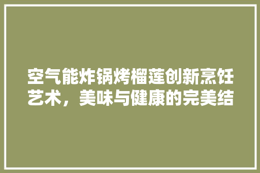 空气能炸锅烤榴莲创新烹饪艺术，美味与健康的完美结合 贴膜