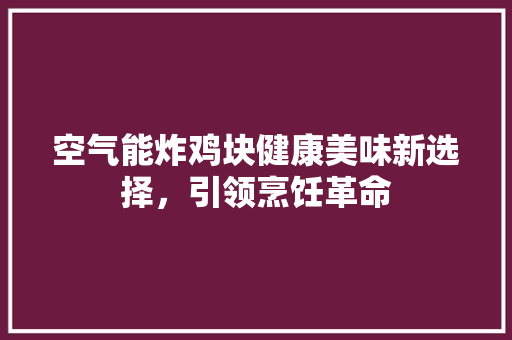 空气能炸鸡块健康美味新选择，引领烹饪革命 洁具维修