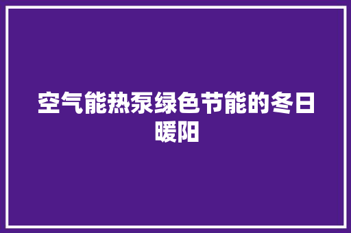 空气能热泵绿色节能的冬日暖阳 空调