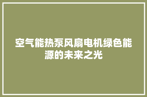 空气能热泵风扇电机绿色能源的未来之光 洗衣机