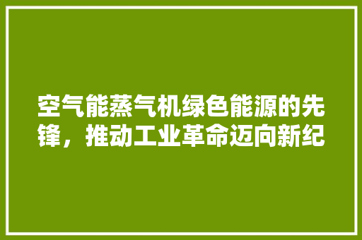 空气能蒸气机绿色能源的先锋，推动工业革命迈向新纪元 热水器