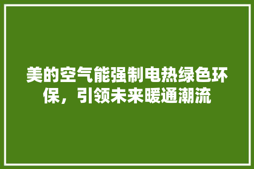 美的空气能强制电热绿色环保，引领未来暖通潮流 翻新改色