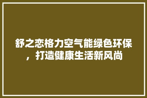 舒之恋格力空气能绿色环保，打造健康生活新风尚 龙头管件
