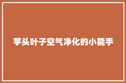 芋头叶子空气净化的小能手 灯具安装