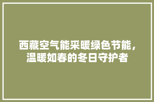 西藏空气能采暖绿色节能，温暖如春的冬日守护者 家具修理