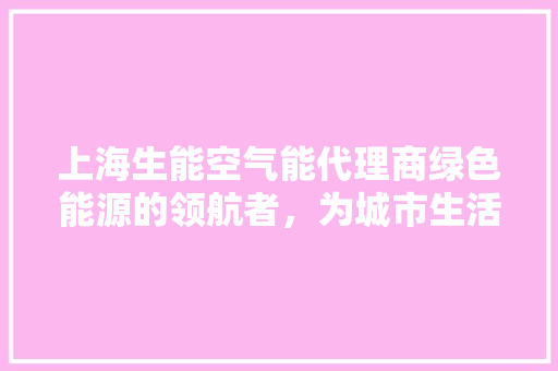 上海生能空气能代理商绿色能源的领航者，为城市生活注入清新活力 热水器