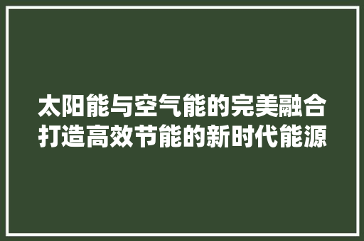 太阳能与空气能的完美融合打造高效节能的新时代能源系统 热水器