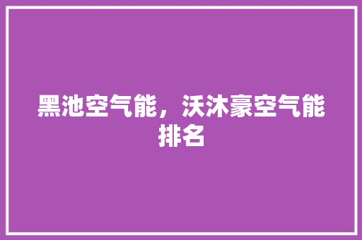 黑池空气能，沃沐豪空气能排名 旧房改造