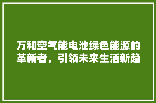 万和空气能电池绿色能源的革新者，引领未来生活新趋势 水电维修
