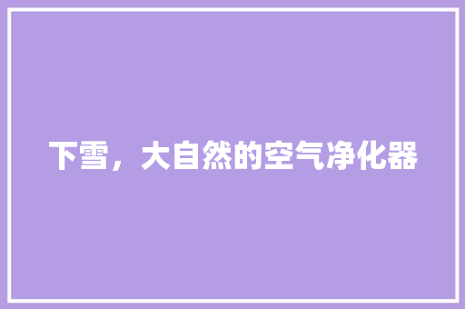 下雪，大自然的空气净化器 家居维修