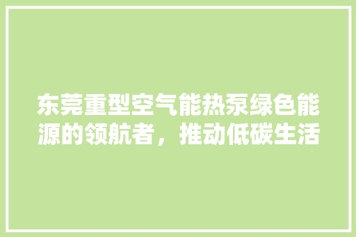 东莞重型空气能热泵绿色能源的领航者，推动低碳生活新风尚 热水器