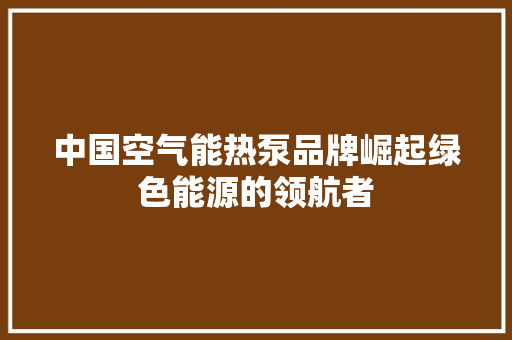 中国空气能热泵品牌崛起绿色能源的领航者 家电维护