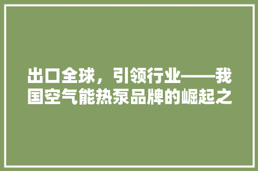 出口全球，引领行业——我国空气能热泵品牌的崛起之路 翻新改色