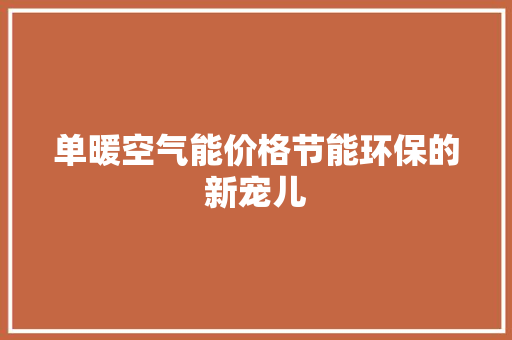 单暖空气能价格节能环保的新宠儿 局部翻新