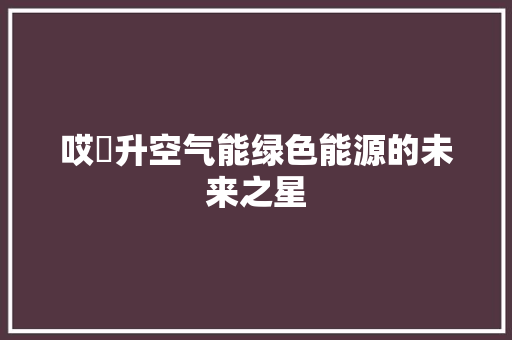 哎濹升空气能绿色能源的未来之星 热水器